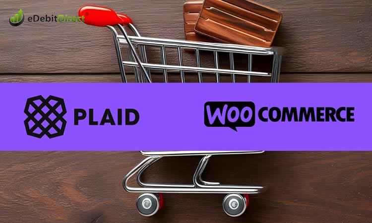 Payment Processing to Your WooCommerce