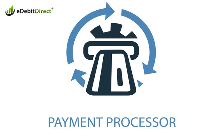 Payment Processor for Startup Business
